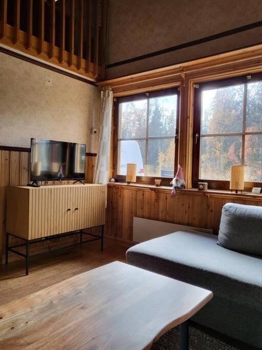 Cozy Mountain House In Jaemtland