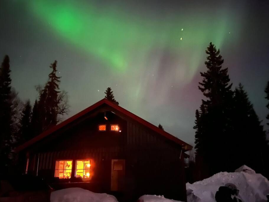 Cozy Mountain House In Jaemtland Vallrun
