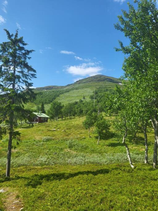 Holiday home Cozy Mountain House In Jaemtland